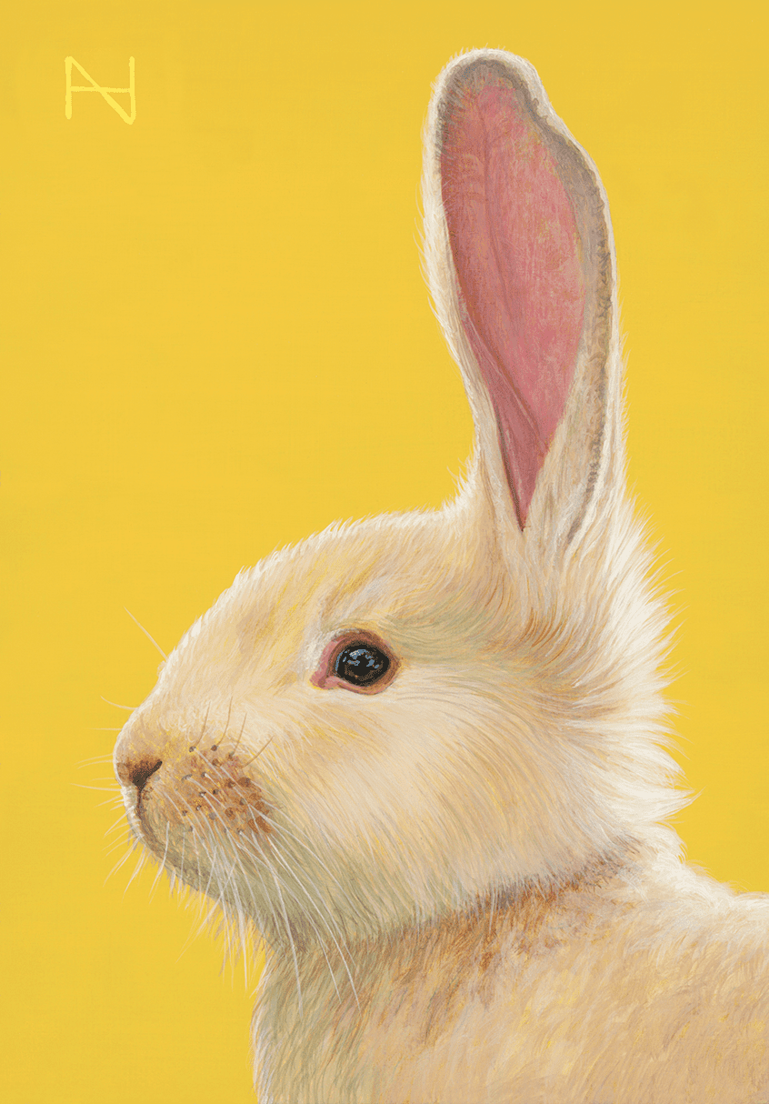 It is Spring_Rabbit(Yellow)