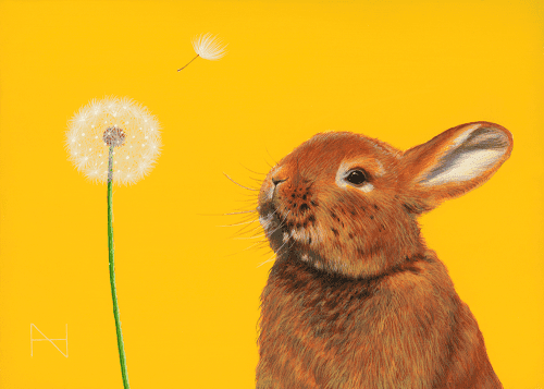 It is spring(Rabbit)_2018