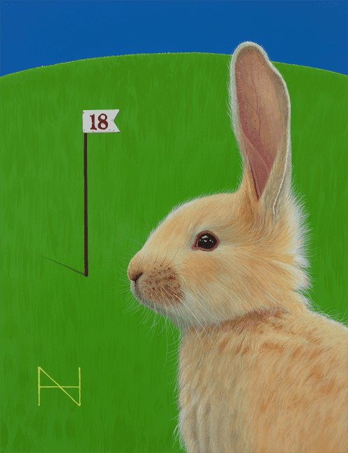 The Rabbit(green field)